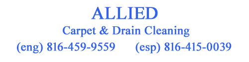 Allied Carpet Cleaning